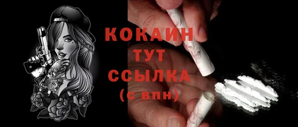 прущий лед Каменка