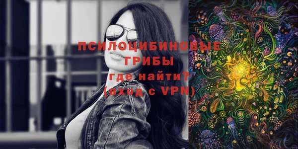 гашик Карталы